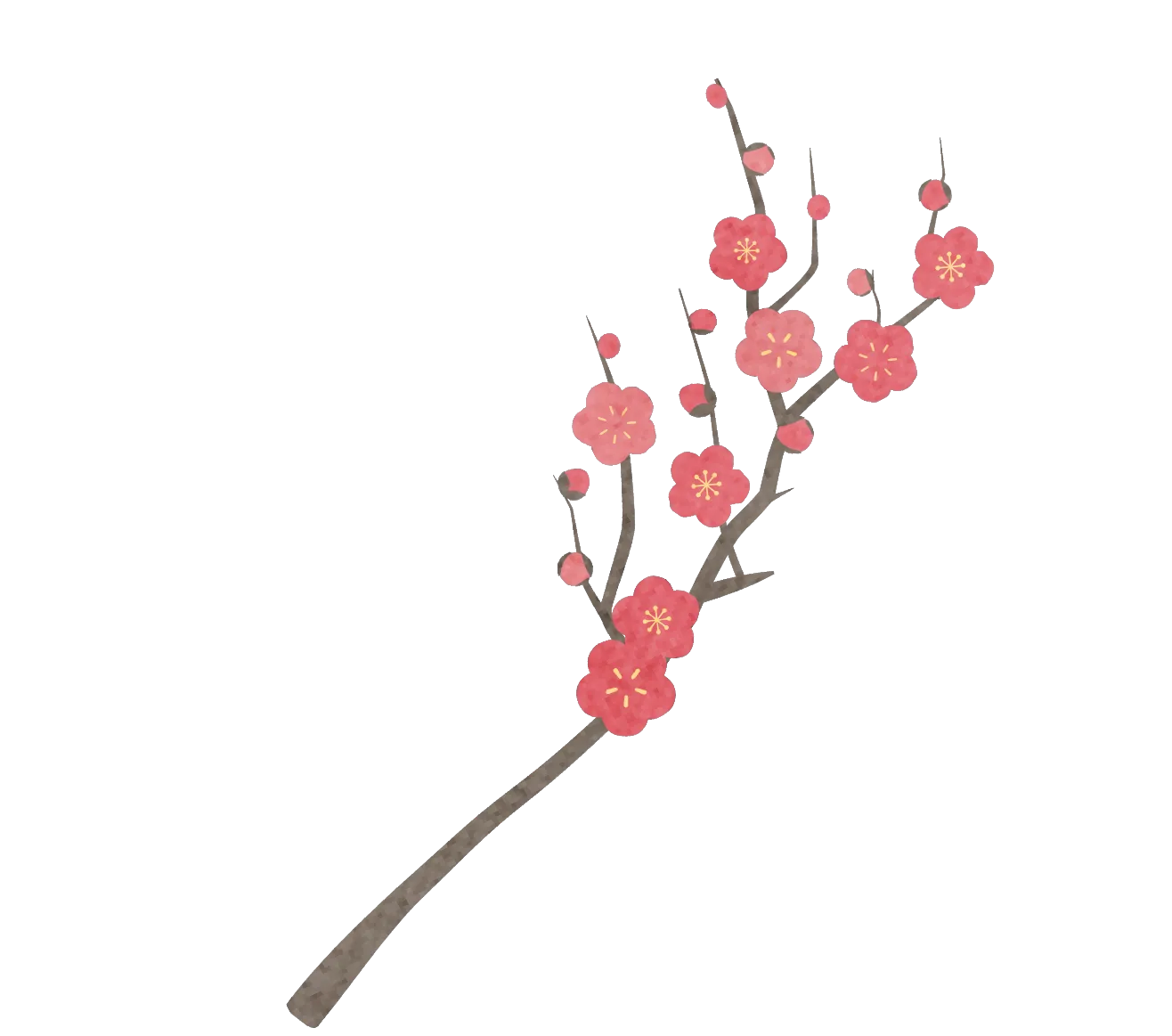 梅イラスト