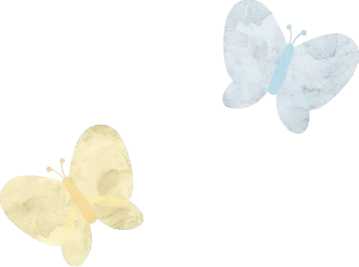 蝶々
