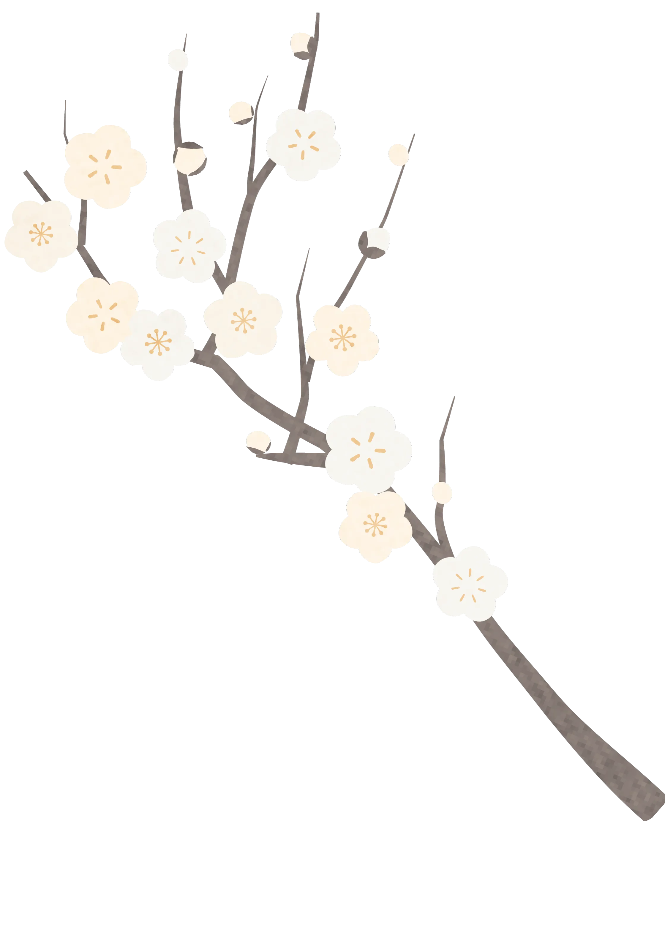 梅イラスト